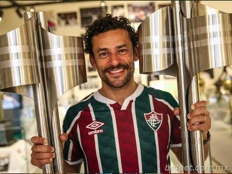 Fred no campeonato brasileiro
